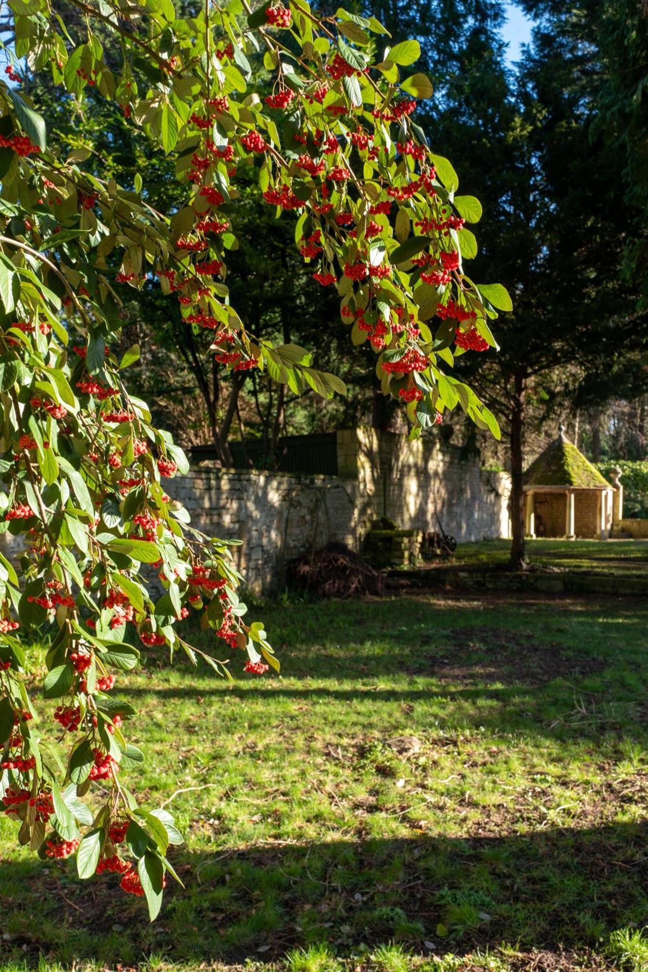 The Hall - Historic Grade I-Listed Jacobean Mansion Bradford-On-Avon Exterior foto