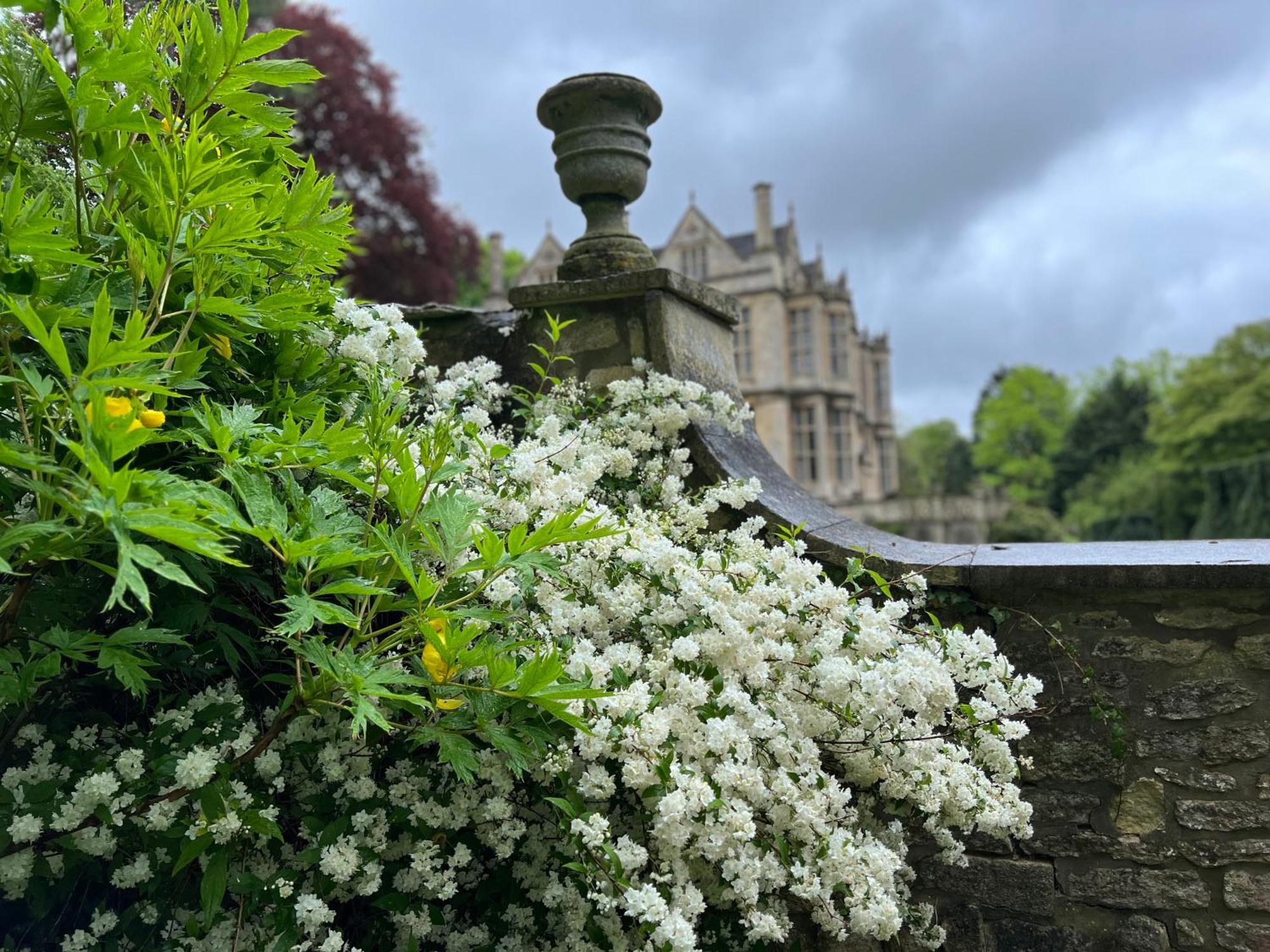 The Hall - Historic Grade I-Listed Jacobean Mansion Bradford-On-Avon Exterior foto