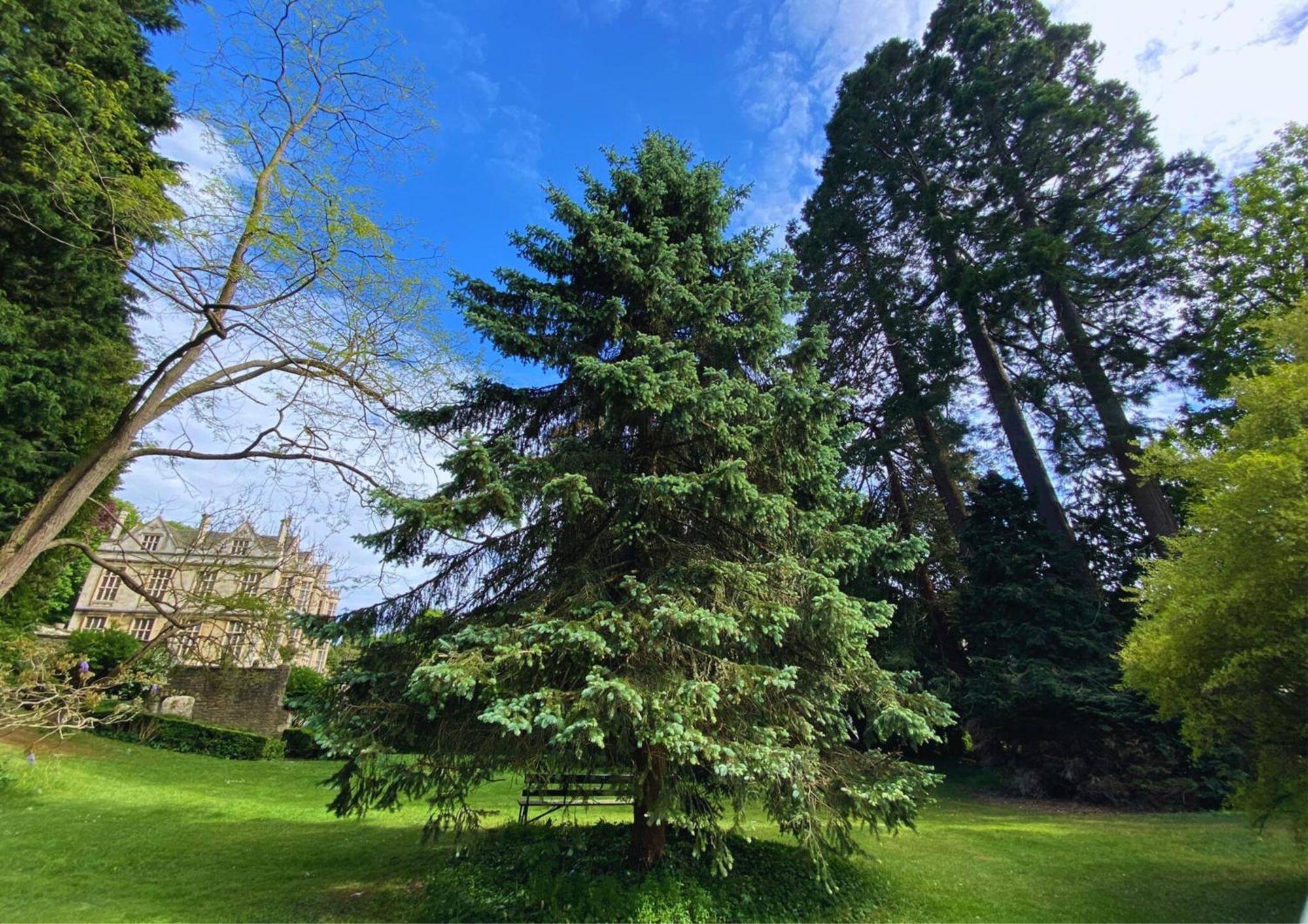 The Hall - Historic Grade I-Listed Jacobean Mansion Bradford-On-Avon Exterior foto